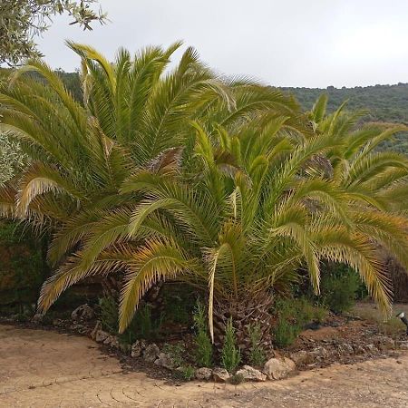 Casas Rurales Cortijo La Canada Эстепа Экстерьер фото