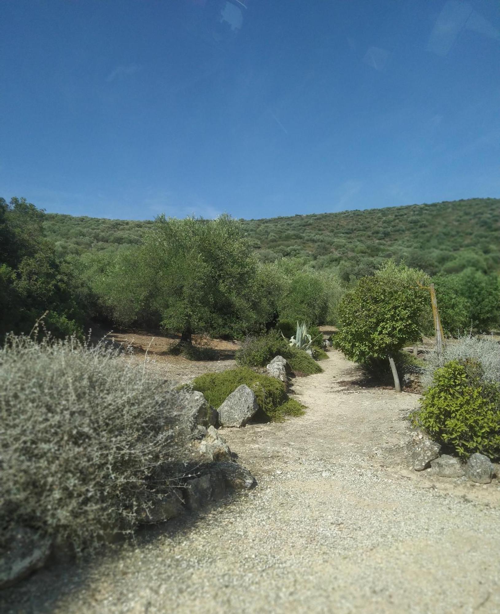 Casas Rurales Cortijo La Canada Эстепа Номер фото