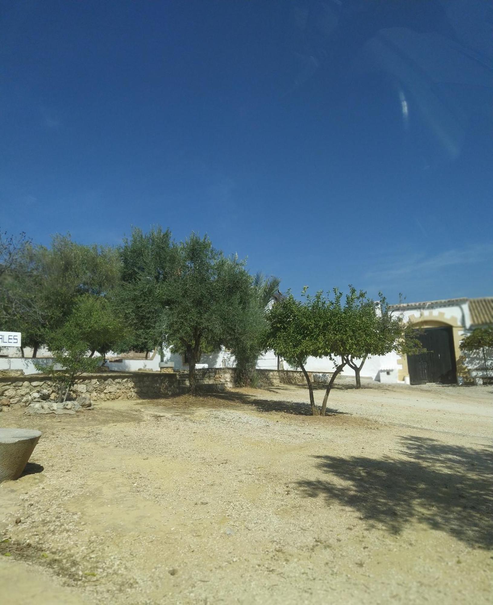 Casas Rurales Cortijo La Canada Эстепа Номер фото