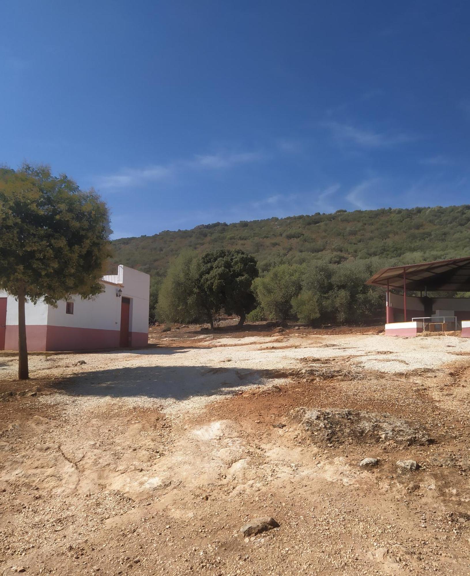 Casas Rurales Cortijo La Canada Эстепа Номер фото