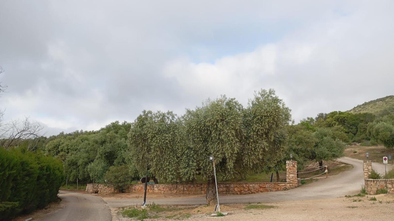 Casas Rurales Cortijo La Canada Эстепа Экстерьер фото
