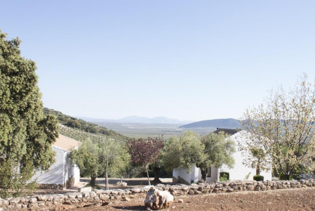 Casas Rurales Cortijo La Canada Эстепа Экстерьер фото